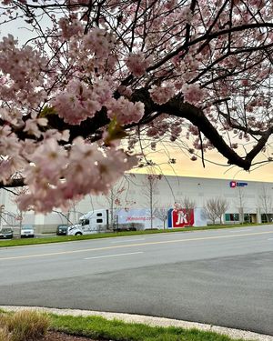 Image post by @jkmoving on Instagram