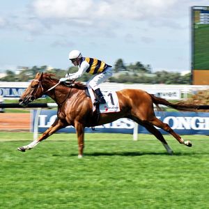 Image post by @australianturfclub on Instagram