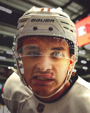 Video post by @anaheimducks on TikTok