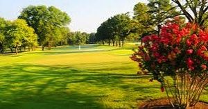 Image post by @tgfjuniorgolf on Instagram