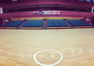 Image post by @walesnetball_ on Instagram