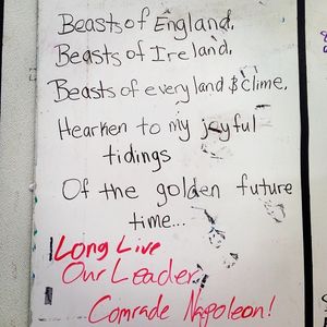 Image post by @bostoncrusaders on Instagram
