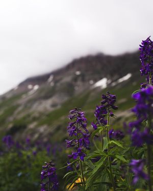 Image post by @joshkingphotography on Instagram