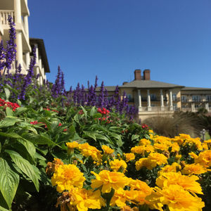 Image post by @kiawahresort on Instagram