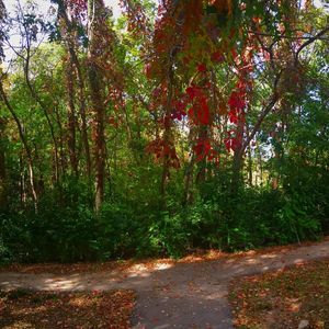 Image post by @visitoverlandpark on Instagram