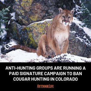 Image post by @outdoor_life on Instagram