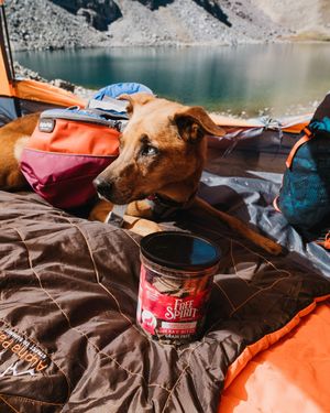 Image post by @triumphpetfood on Instagram