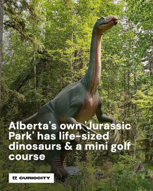 Image post by @curiocitycalgary on Instagram