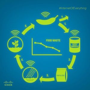 Image post by @cisco on Instagram