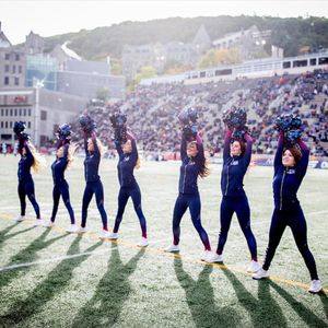 Image post by @mtlalouettes on Instagram
