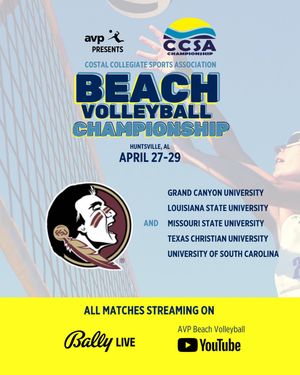 Image post by @fsubeachvolleyball on Instagram