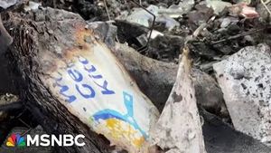 Video post by @msnbc on YouTube
