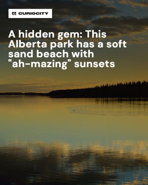 Image post by @curiocitycalgary on Instagram