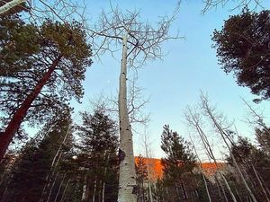Image post by @nauflagstaff on Instagram