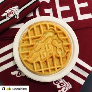Image post by @uottawageegees on Instagram