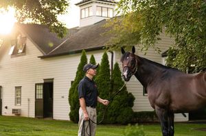 Image post by @spendthriftfarm on Instagram