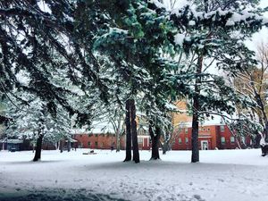 Image post by @nauflagstaff on Instagram