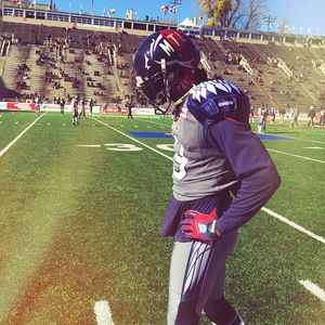 Image post by @mtlalouettes on Instagram
