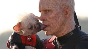 Video post by @VancityReynolds on Twitter/X