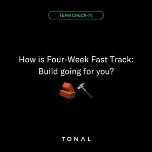 Image post by @tonal on Instagram