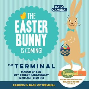 Image post by @sdterminal on Instagram
