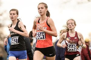 Image post by @uf_xc_tf on Instagram