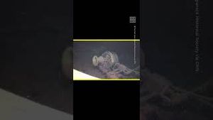Video post by @nowthisnews on YouTube