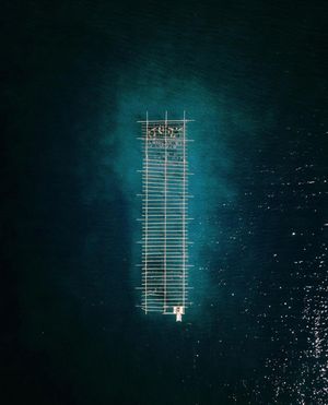 Image post by @dronepals on Instagram