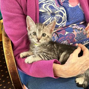 Image post by @whitmanpets on Instagram