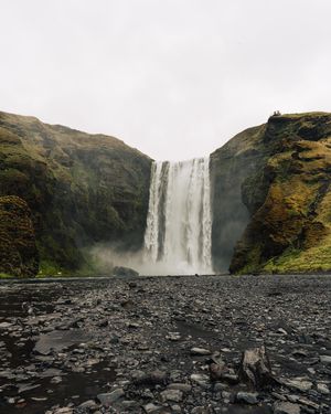 Image post by @drewpeden on Instagram
