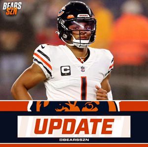 Image post by @bearsszn on Instagram