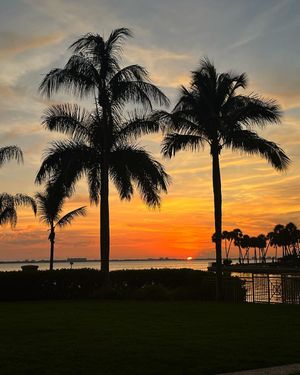 Image post by @visitsarasotacounty on Instagram