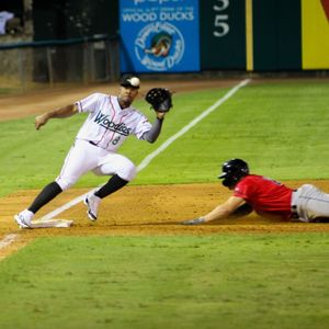 Image post by @gowoodducks on Instagram