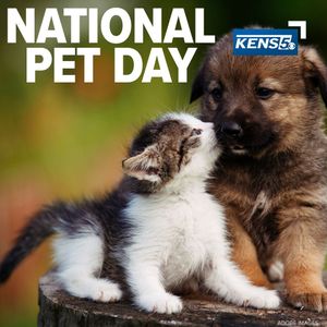 Image post by @kens5 on Instagram