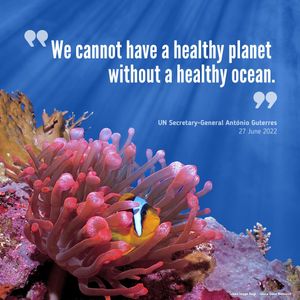 Image post by @unitednations on Instagram
