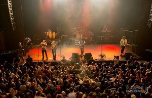 Image post by @thewarfield on Instagram