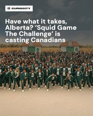 Image post by @curiocitycalgary on Instagram