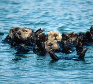 Image post by @nationalparkservice on Instagram