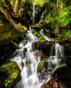 Image post by @JustinPotterPhotography on Facebook