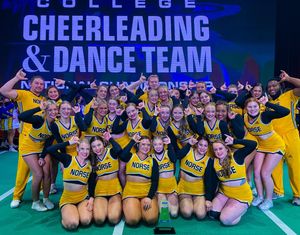 Image post by @nkucheer on Instagram