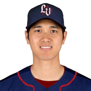 Image post by @ironpigs on TikTok