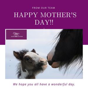 Image post by @equineidsolutions on Instagram