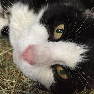 Image post by @snaffle_it on Instagram
