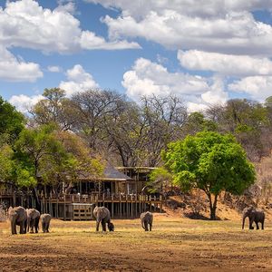 Image post by @chiawasafaris on Instagram