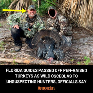 Image post by @outdoor_life on Instagram