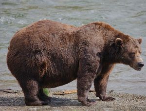 Image post by @nationalparkservice on Instagram