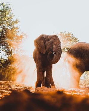 Image post by @discovery on Instagram