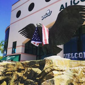 Image post by @fgcu_vb on Instagram