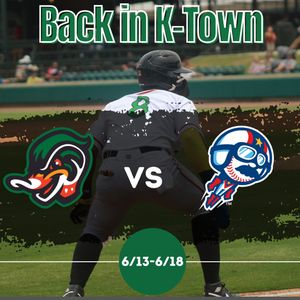 Image post by @gowoodducks on Instagram