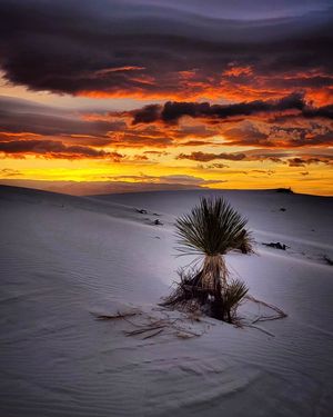 Image post by @nationalparkscollective on Instagram